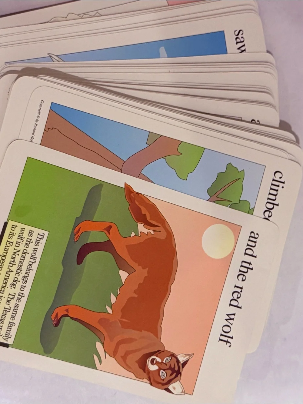 Vintage The Animals of the Americas Shufflebook Hefter & Moskof MoMA, Full Deck